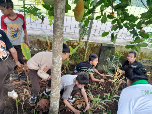 Menuju Sekolah Ramah Lingkungan: Mengenal Program Sekolah Adiwiyata