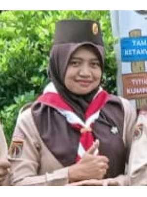 MIR